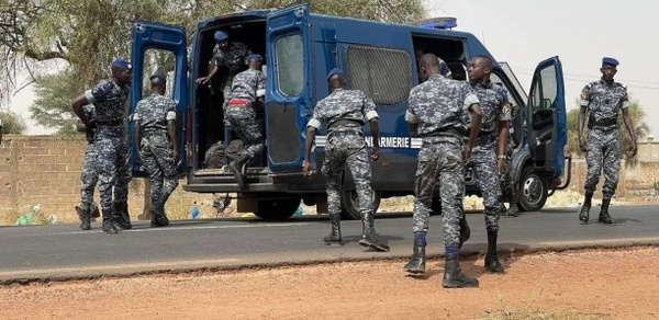 Trafic de drogue : 103 kg de chanvre saisis après une course-poursuite de 20 km à Louga Trafic de drogue : 103 kg de chanvre saisis après une course-poursuite de 20 km à Louga