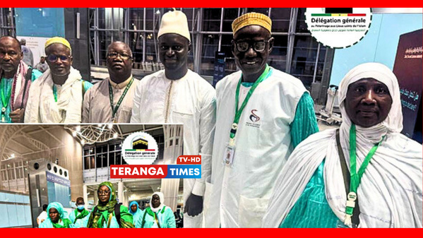 Hajj 2025 : Les premiers pèlerins sénégalais accueillis à Médine dans la ferveur et la dignité