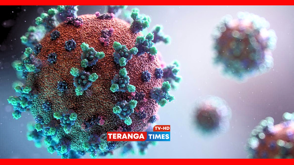 Covid-19 : le variant NB.1.8.1 détecté en France et surveillé de près par l’OMS Covid-19 : le variant NB.1.8.1 détecté en France et surveillé de près par l’OMS