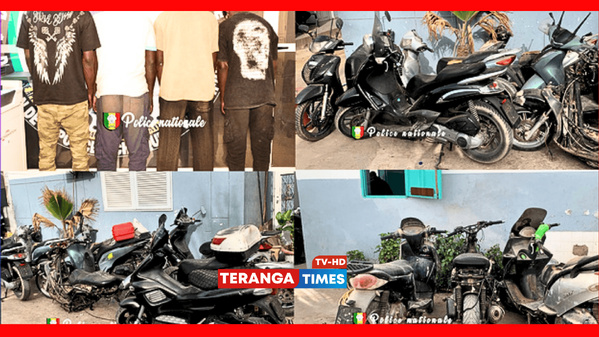 Pikine : un réseau de voleurs de motos démantelé grâce à la vigilance d’une victime Pikine : un réseau de voleurs de motos démantelé grâce à la vigilance d’une victime