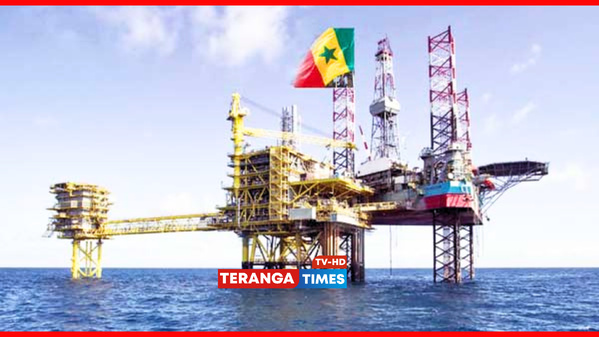 Pétrole sénégalais : Baisse des ventes en mai, mais cap maintenu pour 2025 Pétrole sénégalais : Baisse des ventes en mai, mais cap maintenu pour 2025