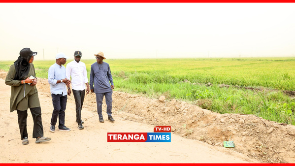Souveraineté alimentaire au Sénégal : Le Président Diomaye constate les avancées du Projet de Développement Rural de Savoigne