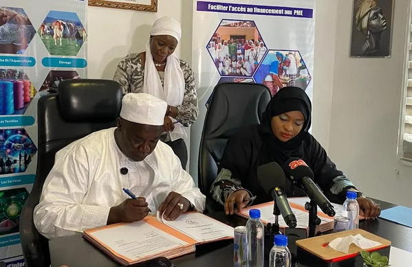 Tambacounda : 100 millions FCFA mobilisés pour financer les projets des jeunes et femmes