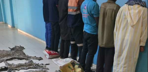 Opération “Karangué Baol” à Diourbel : 28 interpellations, 15 motos immobilisées et des saisies diverses Opération “Karangué Baol” à Diourbel : 28 interpellations, 15 motos immobilisées et des saisies diverses