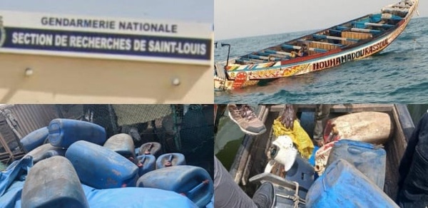 Saint-Louis : une tentative de trafic de migrants avortée, 5 interpellations près de la Mosquée Mouride Saint-Louis : une tentative de trafic de migrants avortée, 5 interpellations près de la Mosquée Mouride