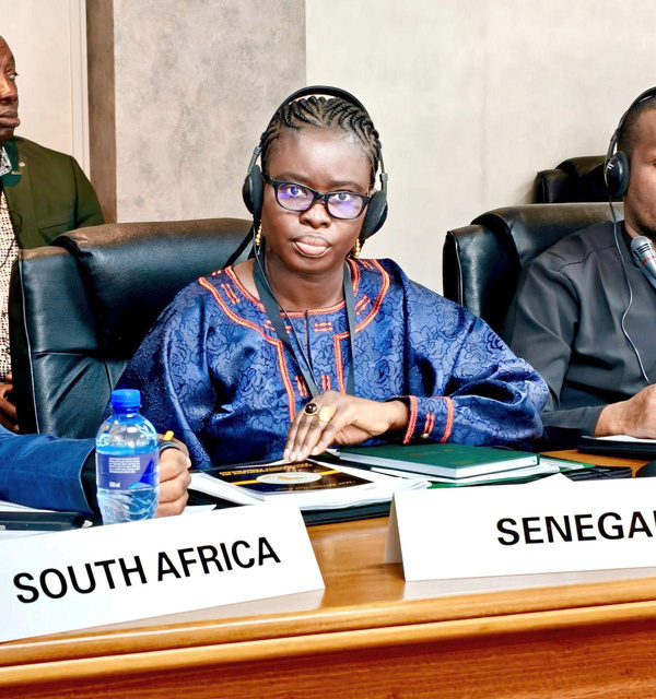Thérèse Faye élue présidente de la Commission des Affaires monétaires et financières du Parlement panafricain