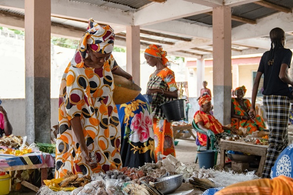 Seen suuf : renforcer les communautés rurales pour une sécurité alimentaire durable au sénégal
