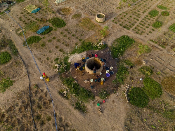 Seen suuf : renforcer les communautés rurales pour une sécurité alimentaire durable au sénégal