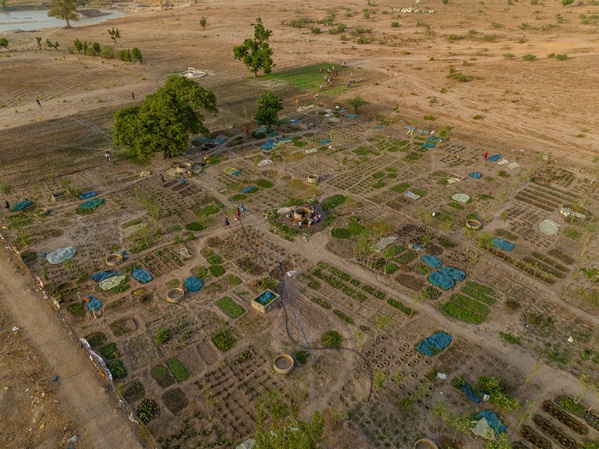 Seen suuf : renforcer les communautés rurales pour une sécurité alimentaire durable au sénégal Seen suuf : renforcer les communautés rurales pour une sécurité alimentaire durable au sénégal