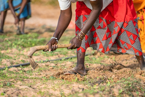 Seen suuf : renforcer les communautés rurales pour une sécurité alimentaire durable au sénégal