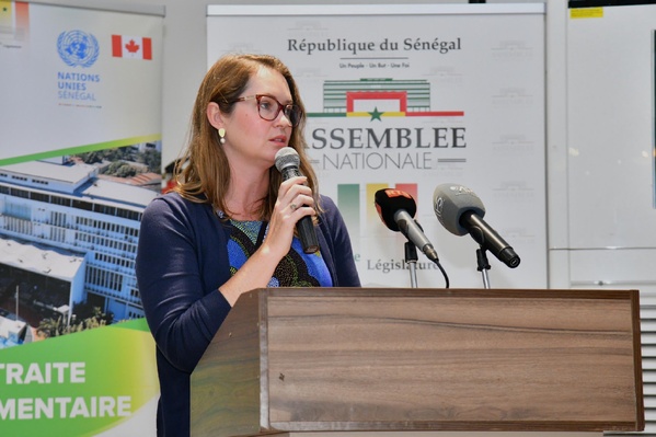 El Malick Ndiaye préside le séminaire de renforcement des capacités des députés de la XVe législature El Malick Ndiaye préside le séminaire de renforcement des capacités des députés de la XVe législature