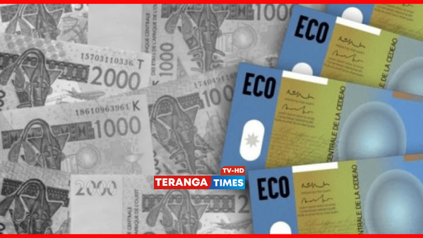 Monnaie unique de la CEDEAO : l’Eco annoncée pour 2027, avec ou sans tous les États membres