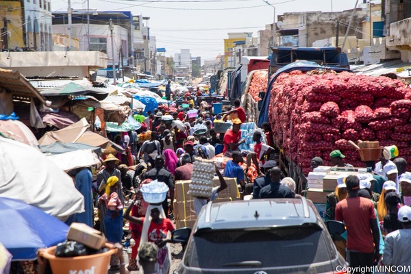 Visite à Touba : le Ministre de l’Industrie rassure sur l’approvisionnement et annonce un projet industriel d’envergure