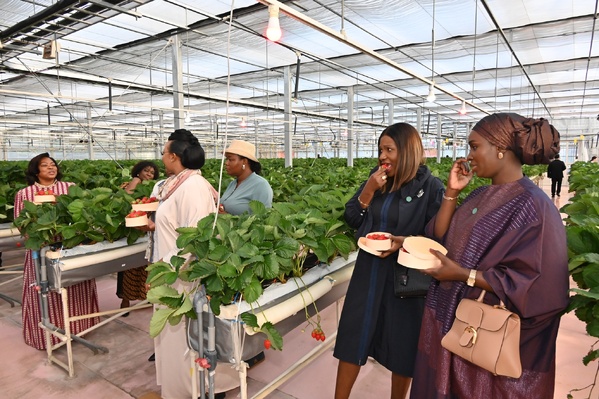 Photos: Marie Khone Faye s’immerge dans la culture japonaise lors du TICAD9 Photos: Marie Khone Faye s’immerge dans la culture japonaise lors du TICAD9