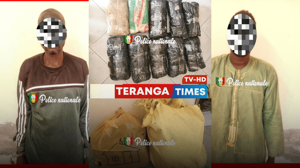 Coup de filet anti-drogue à Bambey : deux individus arrêtés avec 8,45 kg de chanvre indien Coup de filet anti-drogue à Bambey : deux individus arrêtés avec 8,45 kg de chanvre indien