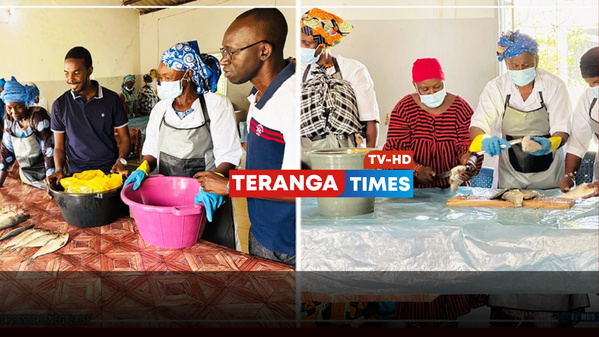 Bakel : 25 femmes formées aux techniques modernes de transformation de produits halieutiques Bakel : 25 femmes formées aux techniques modernes de transformation de produits halieutiques