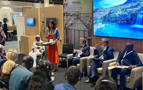 Agriculture durable : Les Pays-Bas partagent leurs leçons clés avec le Sénégal Agriculture durable : Les Pays-Bas partagent leurs leçons clés avec le Sénégal