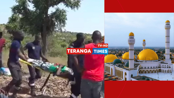 Gamou Tivaouane 2025 : un car "Ndiaga-Ndiaga" se renverse et fait 21 victimes Gamou Tivaouane 2025 : un car "Ndiaga-Ndiaga" se renverse et fait 21 victimes