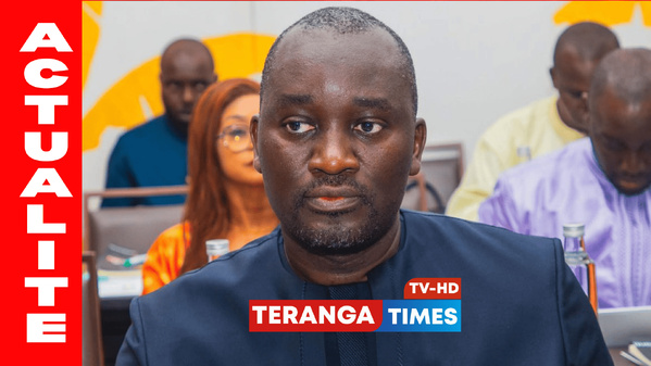 Remaniement ministériel : Mamadou Abib Diop place l’efficacité et la justice au cœur de ses priorités Remaniement ministériel : Mamadou Abib Diop place l’efficacité et la justice au cœur de ses priorités