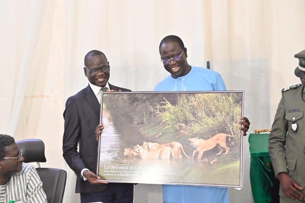 Passation de service au MESRI: Dr El Hadji Abdourahmane Diouf cède son fauteuil au Pr Daouda Ngom