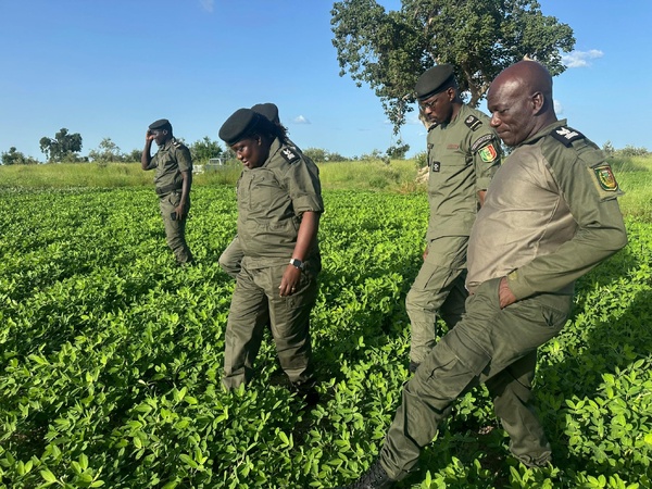 Réinsertion en milieu pénitentiaire : un partenariat pour renforcer l’agriculture Réinsertion en milieu pénitentiaire : un partenariat pour renforcer l’agriculture