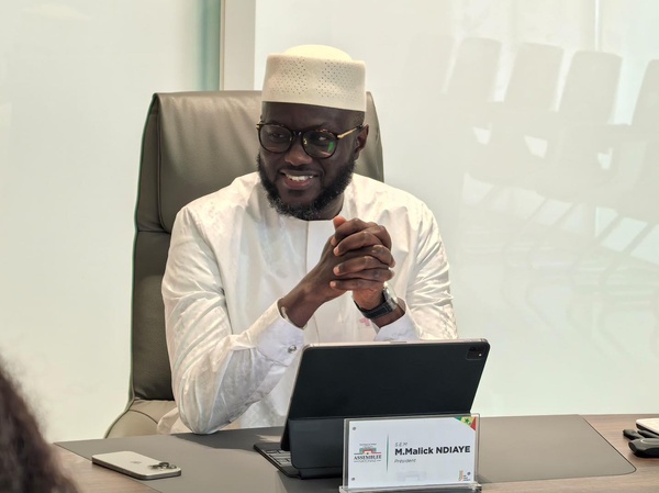 El Malick Ndiaye reçoit une délégation du FIDEPA en prélude au 6ᵉ Forum international de la démocratie participative en Afrique