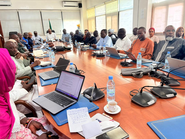 Fièvre de la Vallée du Rift : les acteurs nationaux évaluent la riposte