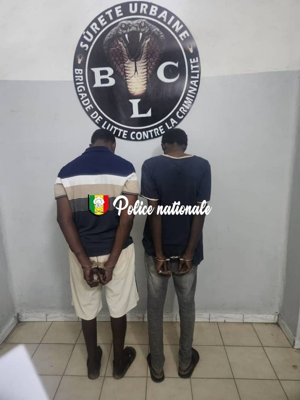 Deux individus interpellés à Dakar pour vol avec arme blanche : la Sûreté urbaine élucide l’affaire Deux individus interpellés à Dakar pour vol avec arme blanche : la Sûreté urbaine élucide l’affaire