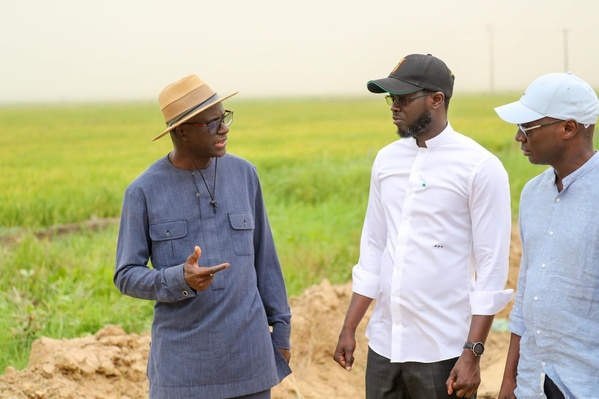 Le Président Faye Exige le Lancement Rapide de la Campagne de Commercialisation Agricole Le Président Faye Exige le Lancement Rapide de la Campagne de Commercialisation Agricole