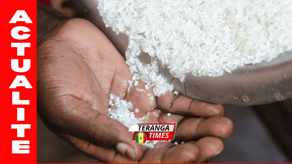 Le gouvernement renforce la commercialisation du riz sénégalais et soutient les producteurs locaux. Le gouvernement renforce la commercialisation du riz sénégalais et soutient les producteurs locaux.