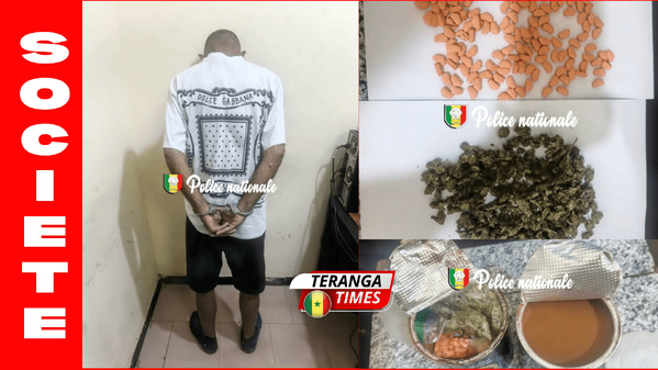 Interpellation à Ziguinchor pour trafic d’ecstasy et de skunk Interpellation à Ziguinchor pour trafic d’ecstasy et de skunk