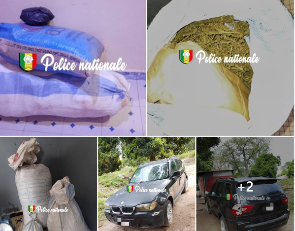Saisie de 40 kg de drogue à Ziguinchor : deux suspects interpellés et déférés au parquet Saisie de 40 kg de drogue à Ziguinchor : deux suspects interpellés et déférés au parquet