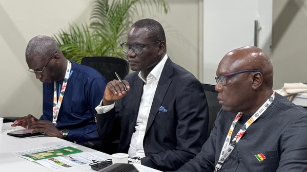 Le Sénégal et le Fonds mondial pour l’Environnement renforcent leur coopération en amont du 9ᵉ cycle de reconstitution Le Sénégal et le Fonds mondial pour l’Environnement renforcent leur coopération en amont du 9ᵉ cycle de reconstitution