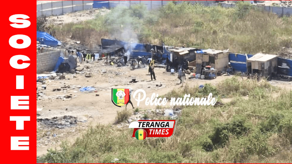 Vaste opération antidrogue à dakar : 21 individus interpellés avec du kush, du tramadol et des armes blanches