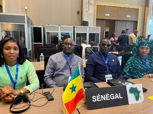 Une délégation sénégalaise active aux assises de l'Union Parlementaire Africaine à Kinshasa