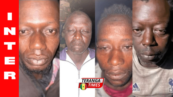 Grave Développement en Casamance : L'Ex-« Jungler » Sanna Manjang Arrêté pour Trafic Transfrontalier