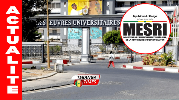 Budget MESRI 2026: 316,4 milliards FCFA pour transformer l’enseignement supérieur