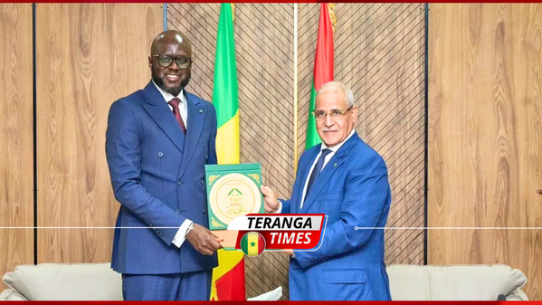 El Malick Ndiaye en Mauritanie : Vers une nouvelle ère de coopération parlementaire El Malick Ndiaye en Mauritanie : Vers une nouvelle ère de coopération parlementaire