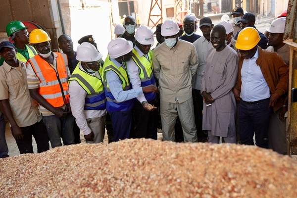 Campagne Agricole : 50 milliards de FCFA injectés pour sauver la filière Arachide Campagne Agricole : 50 milliards de FCFA injectés pour sauver la filière Arachide
