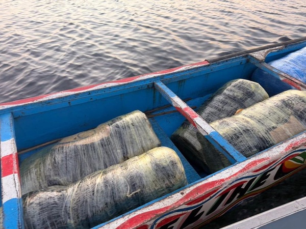 Trafic de drogue dans le Saloum : près d’une tonne de chanvre saisie par les Douanes de Fimela Trafic de drogue dans le Saloum : près d’une tonne de chanvre saisie par les Douanes de Fimela