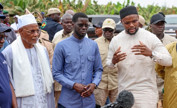 Tournée économique à Tambacounda : Le Président salue le « modèle Yellitaare », géant de la banane et champion de l’emploi Tournée économique à Tambacounda : Le Président salue le « modèle Yellitaare », géant de la banane et champion de l’emploi