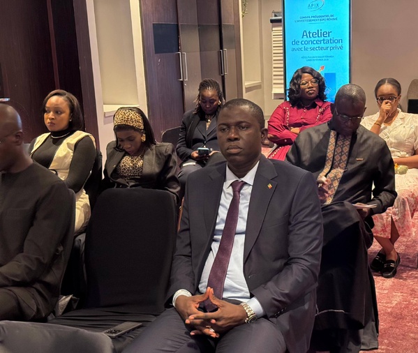 Climat des affaires : L’ASEPEX prône l’ouverture du capital privé pour booster l’investissement au Sénégal Climat des affaires : L’ASEPEX prône l’ouverture du capital privé pour booster l’investissement au Sénégal