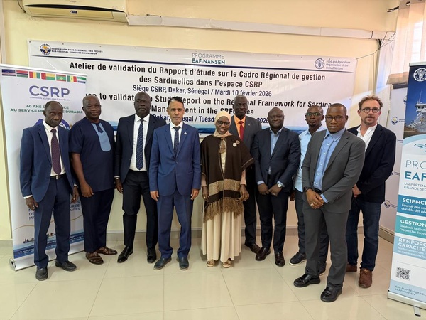 Pêche Durable : Six pays de la CSRP valident un cadre historique pour la gestion des Sardinelles