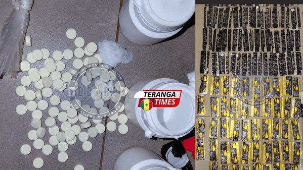 Saraya : La Section de Recherches de Kédougou démantèle un réseau de trafic international de drogues à Bokhody Saraya : La Section de Recherches de Kédougou démantèle un réseau de trafic international de drogues à Bokhody