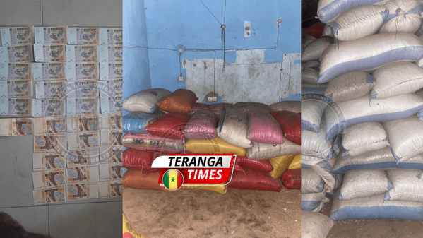 Kolda : la Gendarmerie démantèle un réseau de faussaires et saisit d'importants stocks de marchandises illicites Kolda : la Gendarmerie démantèle un réseau de faussaires et saisit d'importants stocks de marchandises illicites