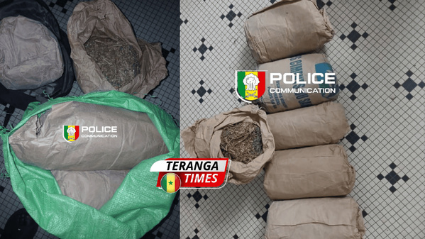 Lutte contre le trafic de drogue à Ziguinchor : saisie de 6 kg de chanvre indien sur l’axe Sindian – Bignona Lutte contre le trafic de drogue à Ziguinchor : saisie de 6 kg de chanvre indien sur l’axe Sindian – Bignona