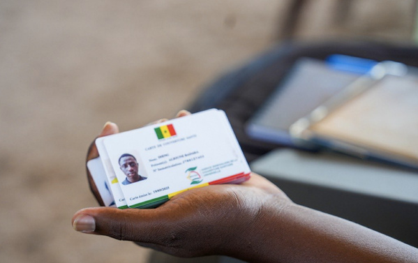 Santé à Touba : 120 000 enfants talibés enrôlés par la SEN-CSU Santé à Touba : 120 000 enfants talibés enrôlés par la SEN-CSU