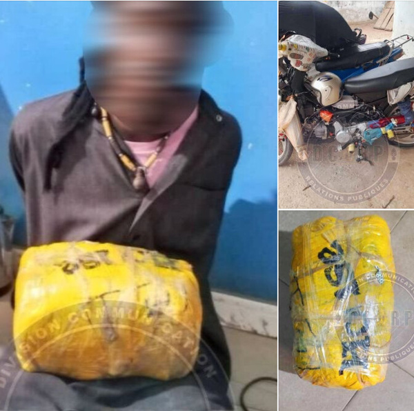 Lutte contre le trafic de drogue : une importante saisie de chanvre indien opérée à Sédhiou