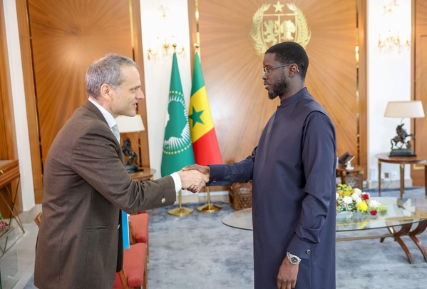 Bassirou Diomaye Faye reçoit le DG de TARANIS Energy for Africa Bassirou Diomaye Faye reçoit le DG de TARANIS Energy for Africa