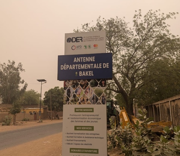 BE YES : La DER/FJ lance le financement d’une nouvelle cohorte de 264 GIE